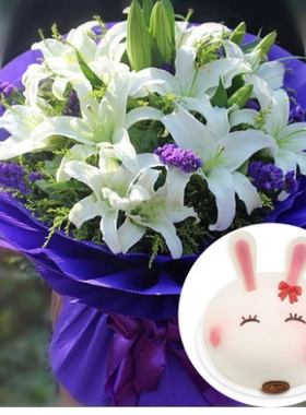 上海宝山区顾村镇高境镇庙行镇淞南镇康乃馨鲜花店配送情人节