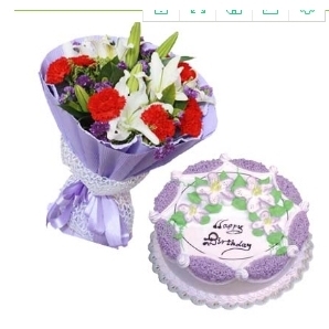 宁晋县凤凰镇河渠镇北河庄镇耿庄桥母亲节鲜花店配送生日蛋糕玫瑰