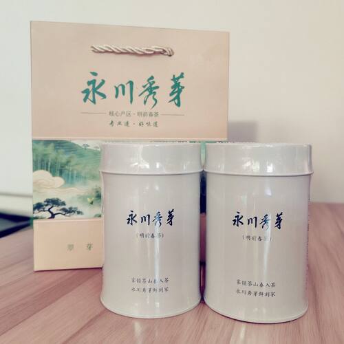 重庆永川秀芽精致伴手礼高端绿茶