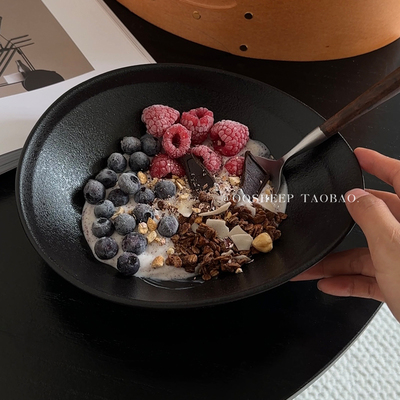 黑色小众早餐碗酸奶碗餐具漂亮的碗高级感沙拉碗2025新款高颜值