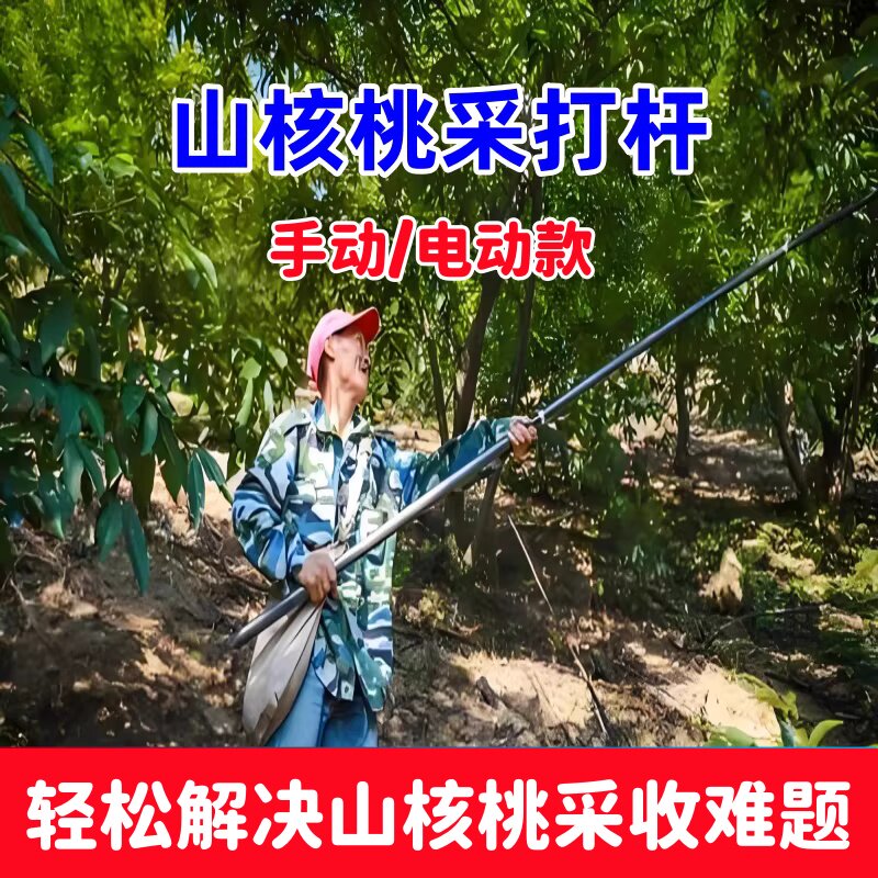 打山核桃专用杆采摘酸枣的伸缩杆