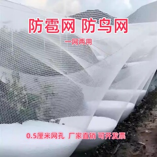 防雹网果园防鸟网樱桃葡萄嘉宝果树防小鸟网防冰雹网全新料抗老化