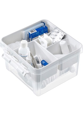 瑞典进口SmartStore医药箱收纳箱针线盒杂物擦鞋盒药品收纳整理盒