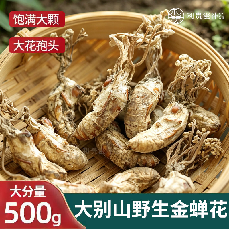 野生金蝉花云南深山干货26年新货图片