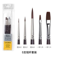 Акрил, комплект, 5 шт