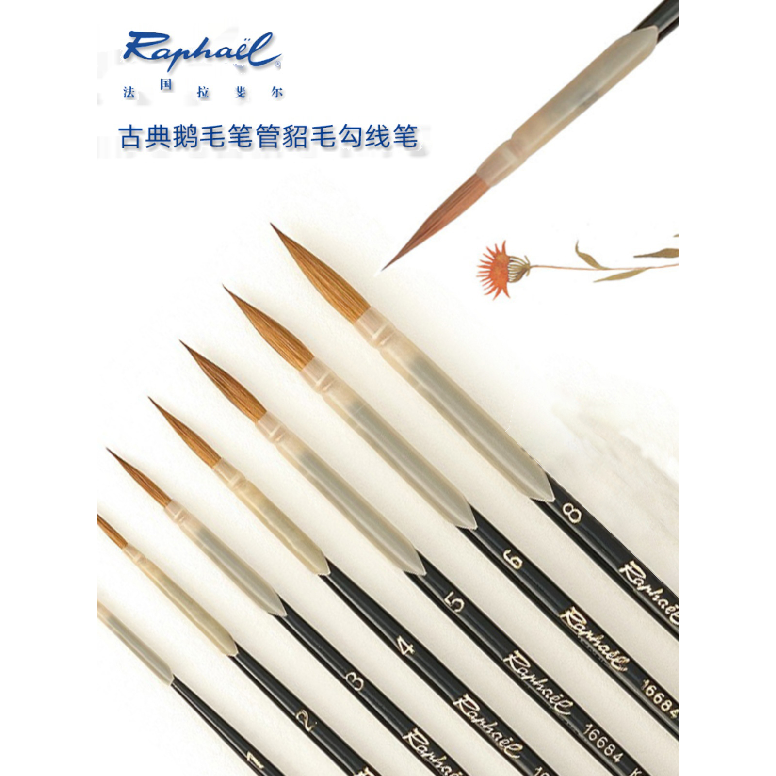 法国Raphael拉斐尔 柯林斯基貂毛 16684 古典鹅毛笔管 勾线笔