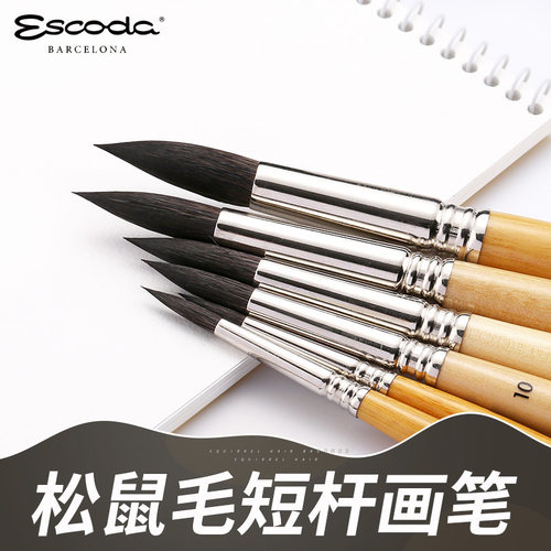 西班牙笔水彩画圆峰松鼠