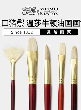温莎牛顿油画笔丙烯水粉颜料画笔长杆猪鬃毛学生美术专用套装石头画初学者勾线笔扇形圆头平头笔手绘