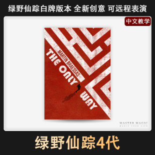 近景街头纸牌魔术道具 简单震撼高级成人初学者扑克 绿野仙踪4代