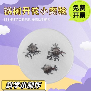 铁树开花学生自制创意化学置换反应小发明实验玩具手工材料包SD48