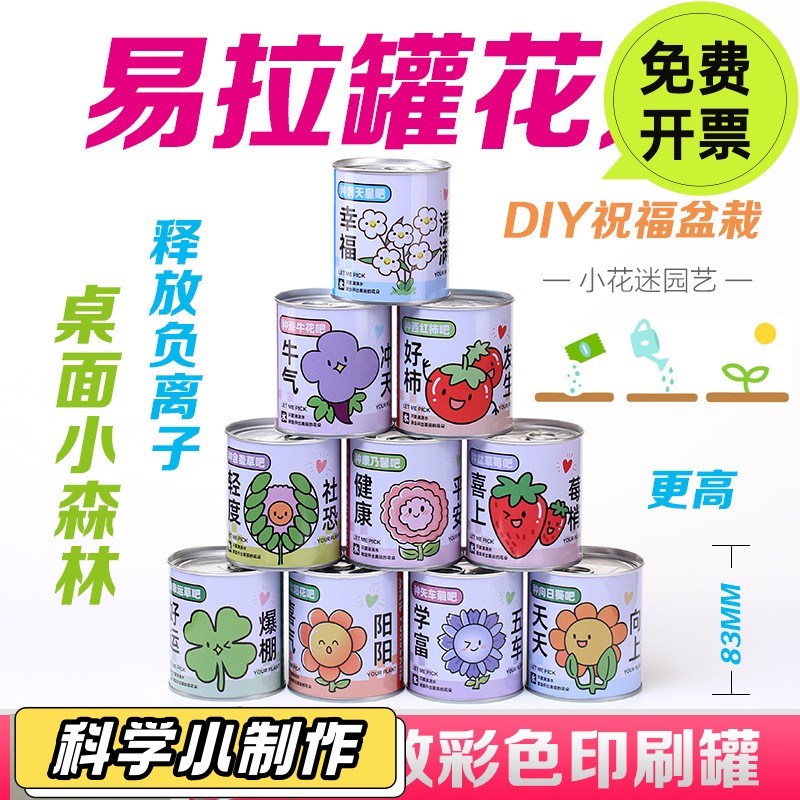 开学礼物学生奖励小礼实用DIY植物种植盲盒幼儿园儿童活动奖SD23