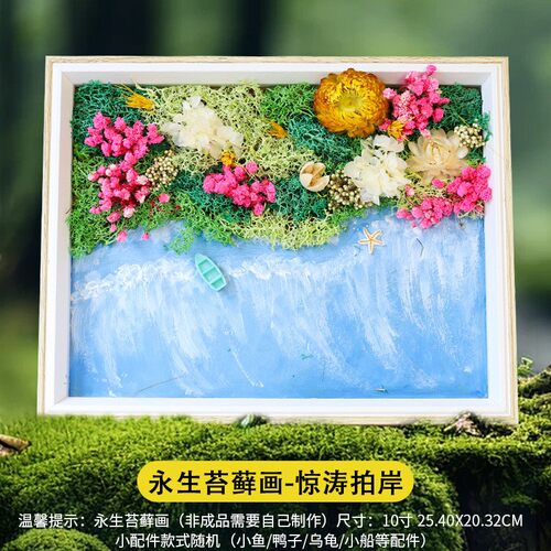 创意diy永生苔藓画材料包儿童手工植物微景观画相框暖场团建QW84