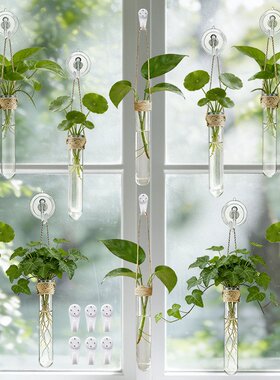 壁挂试管花瓶家居装饰麻绳悬挂水培试管免打孔墙面装饰套装QW88