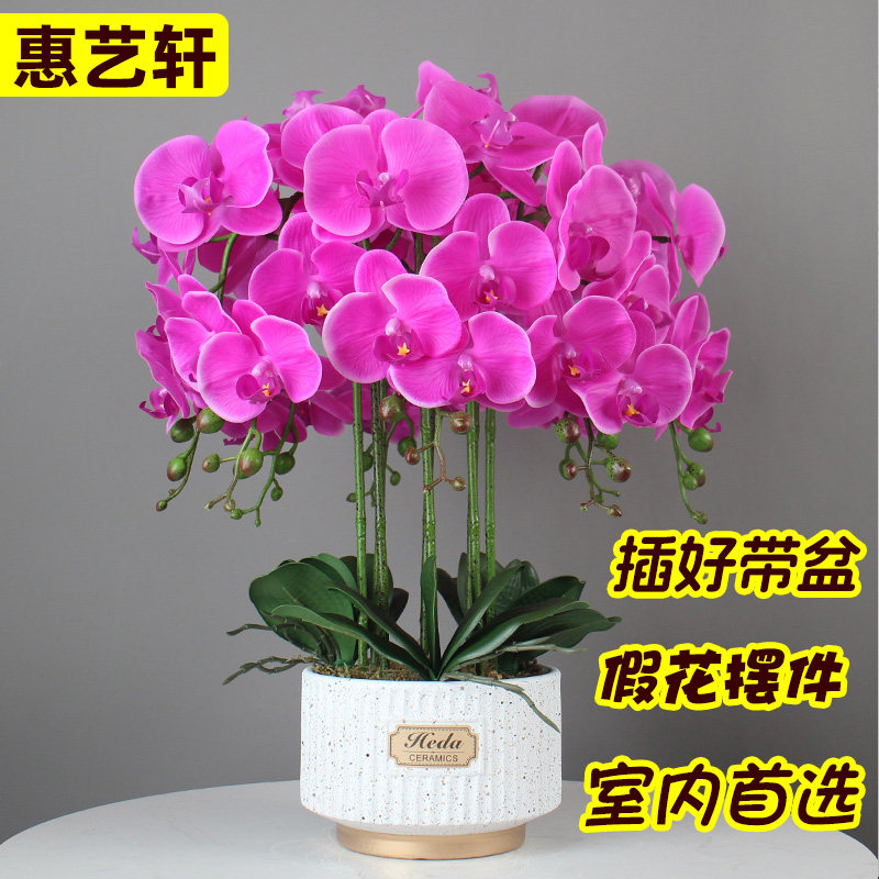 手感仿真花大盆PU蝴蝶兰仿真花酒店前台客厅电视柜摆设假花装饰花,家居饰品,仿真花/假花,淘宝优惠券,粉丝福利购,淘宝优惠卷