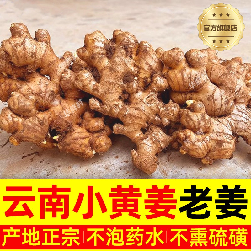胖东来正宗云南罗平小黄姜新鲜生姜老姜原产地直销蔬菜嫩姜仔图片
