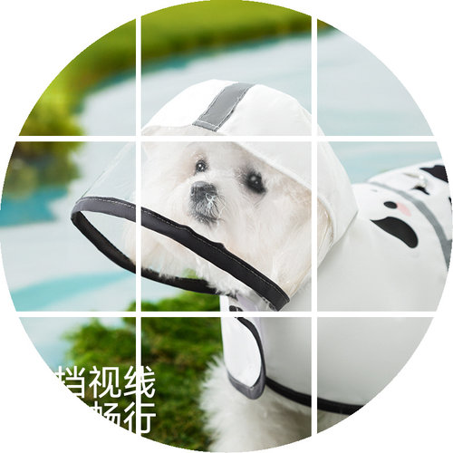 泰迪比熊春夏季防水雨衣