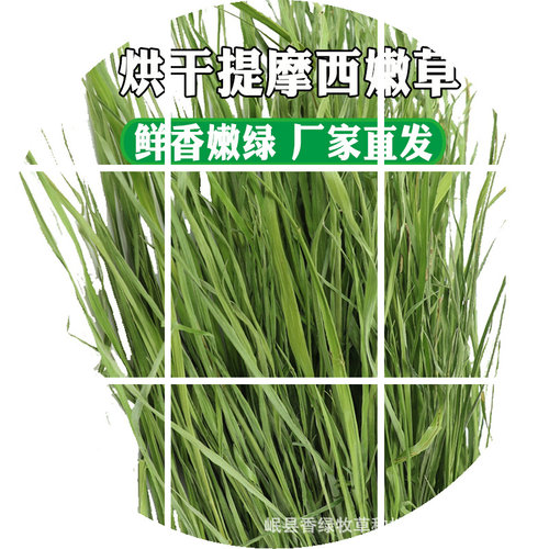 提摩西草干草龙猫兔粮