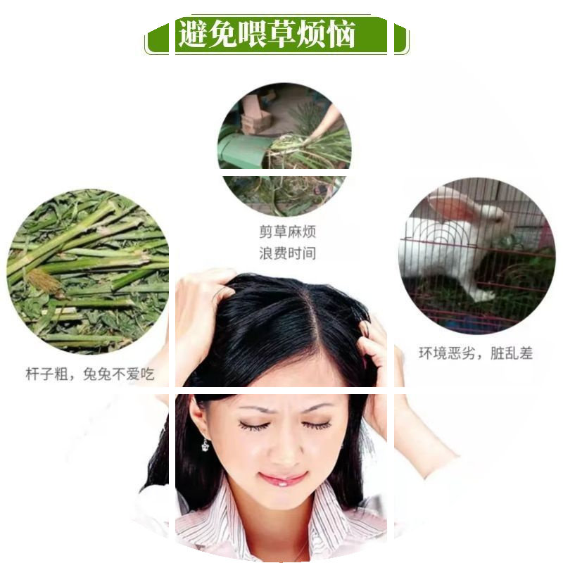 提摩西草颗粒宠物兔粮