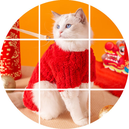 新年大富大贵猫咪绒衣