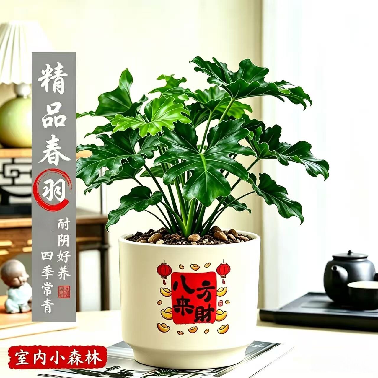 春羽绿植盆栽办公室净化空气