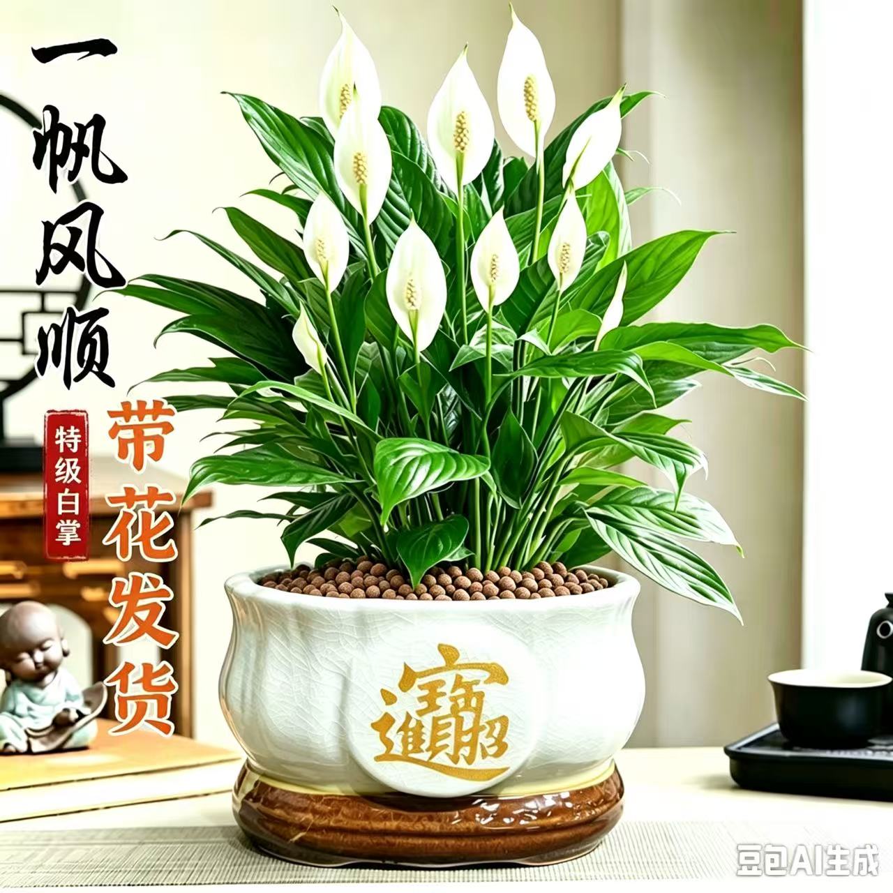 白掌盆栽一帆风顺开花植物