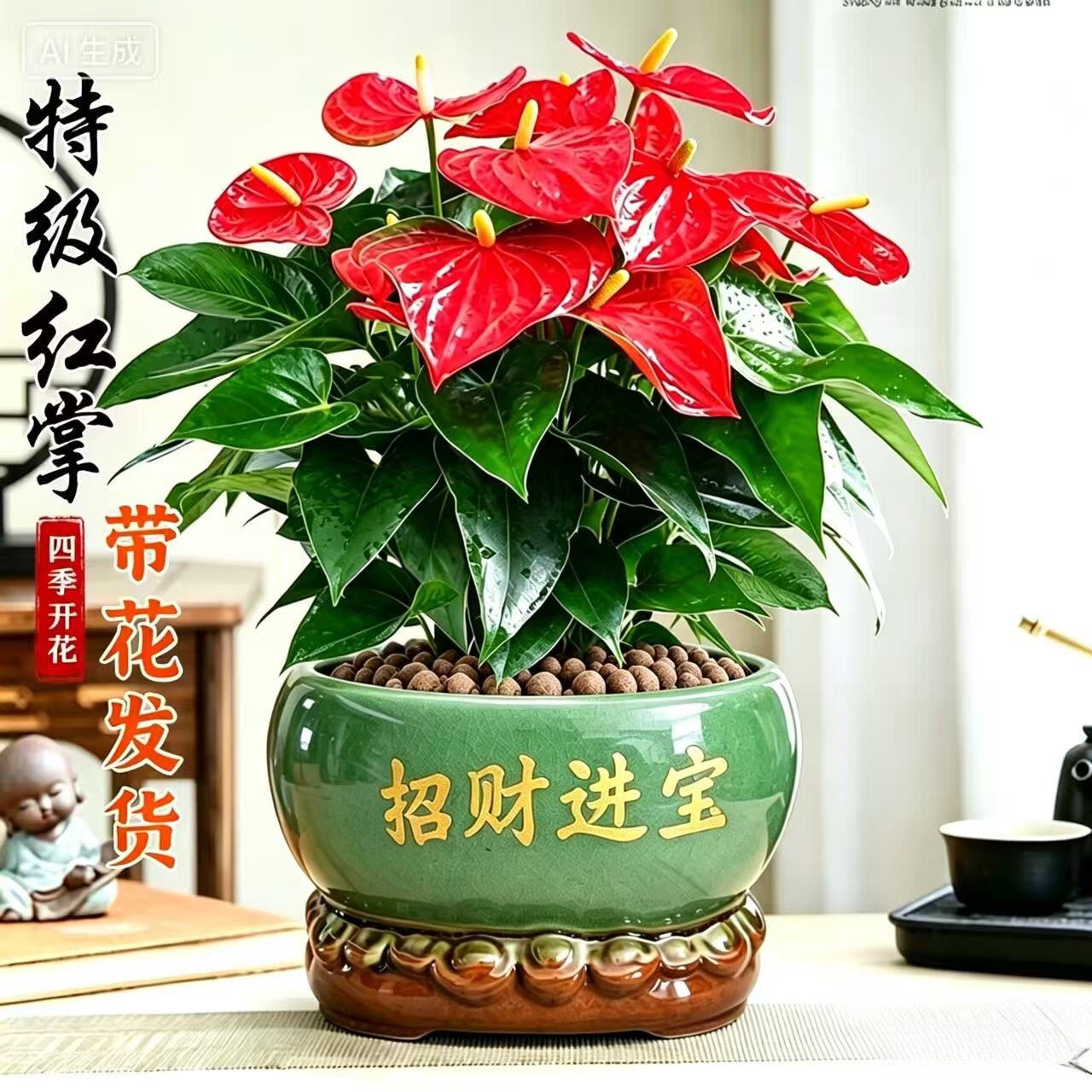 红掌盆栽花卉植物室内