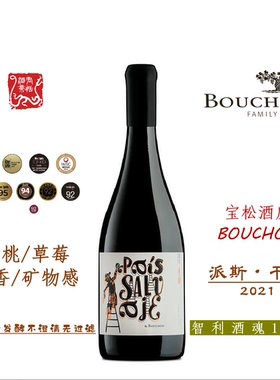 PAIS宝松派斯干红葡萄酒750ML自然酒 智利酒魂108将