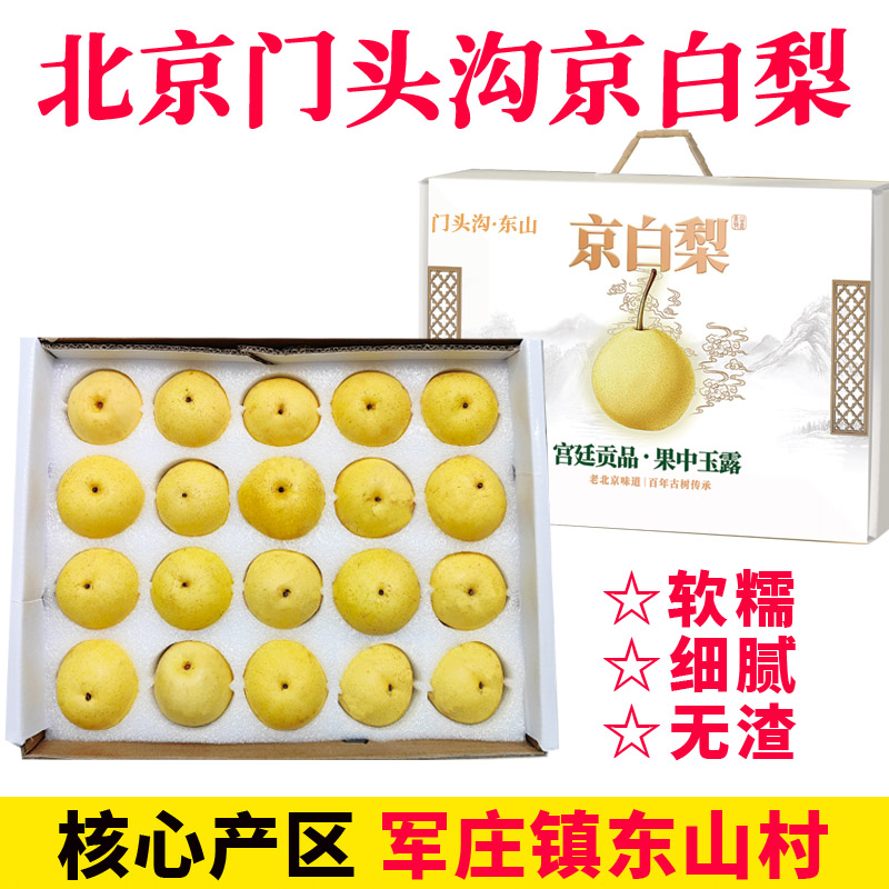 百年老树京白梨军庄镇