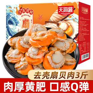 箱 天海藏去壳扇贝肉无冰衣无沙净重1.5kg 带黄肉厚饱满 3斤