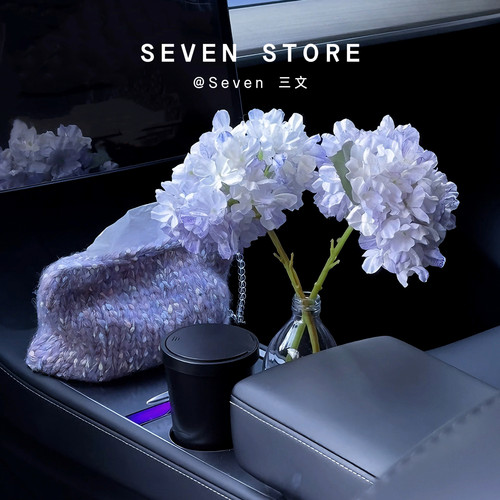Seven高级感车载花束复古油画