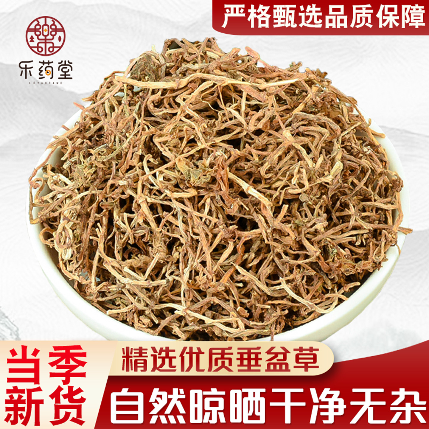 垂盆草中药材500g干货泡茶正宗野生药用食用垂盆草干垂盆草锤盆草 - 实物图