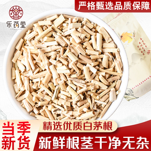 正品白茅根中药材500g野生新鲜茅草根茶白茅根的功效尿路芦根感染
