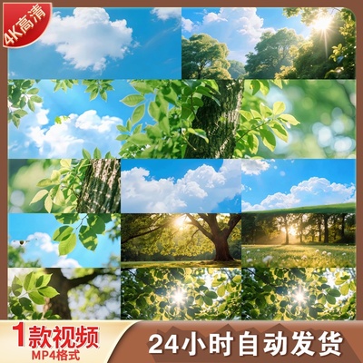 高清夏季蓝天白云阳光树林草地清晨夕夏至新空镜延时绿公视频素材