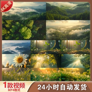 高清森林晨光丁达尔效应大自然氧吧生机秘境草地光感视频素材