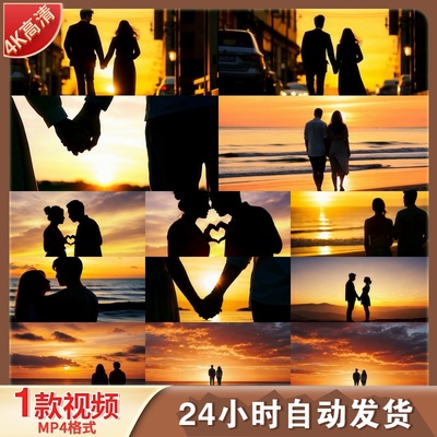 高清214情人节情侣剪影背影牵手浪漫唯美夕阳海边视频素材