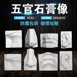 单个包邮五官石膏像石膏教具美术素描写生石膏五官实面切面摆件