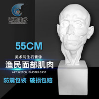 渔民面部肌肉石膏像人物头像素描教具雕塑摆件模型大号雕像摆件