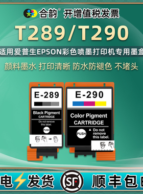 T289黑色BK墨盒T290彩色CL通用爱普生WF-100/110彩墨打印机C13T289180墨水盒290080磨合T2950维护箱295000磨E