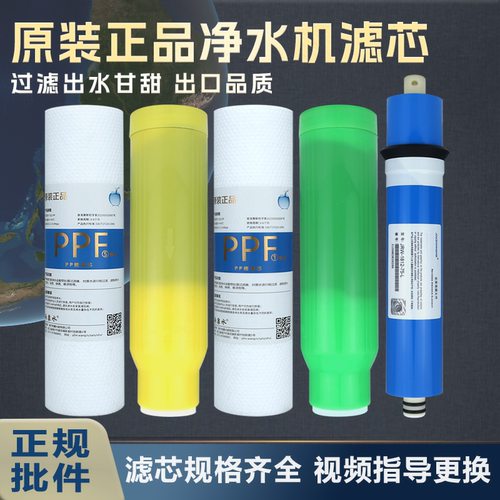 适配亲水坊 飞 夏新 金立 山点水净水器滤芯原装91PPM平头复合