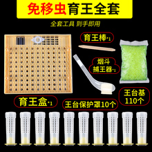 蜜蜂育王全套工具免移虫育王器套餐育王棒王台育王杯养蜂专用工具