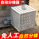 中蜂自动分蜂器圆桶蜜蜂分蜂多功能无人值守除雄蜂器收王器防逃框