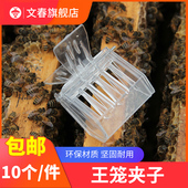 书夹式 王笼蜜蜂关蜂王专用囚王笼防逃器蜂箱塑料扣蜂王养蜂10个装