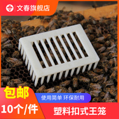 塑料针式 扣脾囚王笼防蜜蜂皇逃跑多功能控王笼养蜂蜜专用王笼蜂具