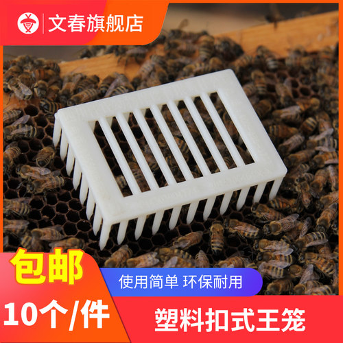 塑料针式扣脾囚王笼防蜜蜂皇逃跑多功能控王笼养蜂蜜专用王笼蜂具
