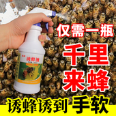 诱蜂水招蜂水600ml 蜜蜂信息素野外诱中蜂专用招蜂引蜂分蜂群 包邮