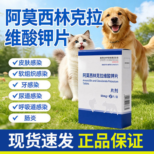 阿莫西林克拉维酸钾片宠物牙龈炎症尿道呼吸道感染猫咪狗狗消炎药