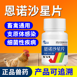 兽药恩诺沙星片兽用芦丁鸡用鸭鹅禽药鹦鹉猫狗用呼吸道感染抗菌药