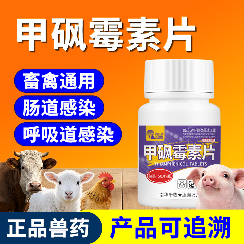 兽药甲砜霉素片兽用鸭鹅鸡药拉稀白屎黄白痢肠炎鸽子呼吸道专用药