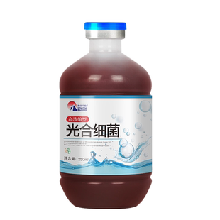 光合细菌菌剂原液水产养殖鱼虾蟹塘光合菌种培养基扩繁降ph值氨氮