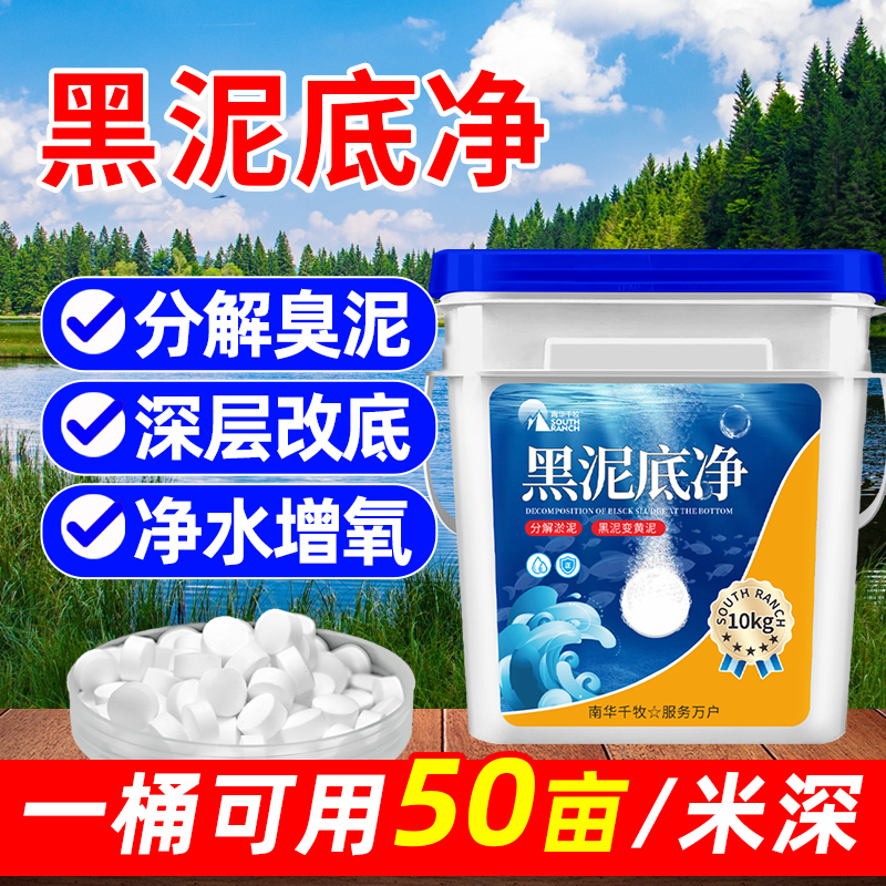 黑泥底净克星水产养殖用改底净分解淤泥速净除臭水质净化剂浊水清-封面